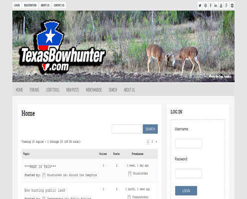 texas-blog-development